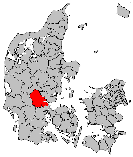 VEJLE ER ÅRETS HANDELSBY
