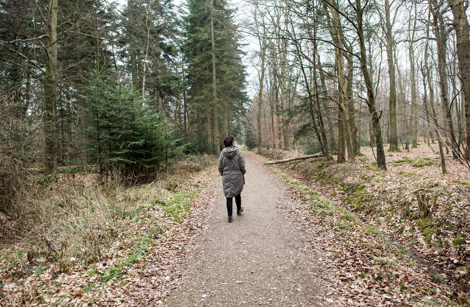 Politikere: Fredericia skal have et naturråd