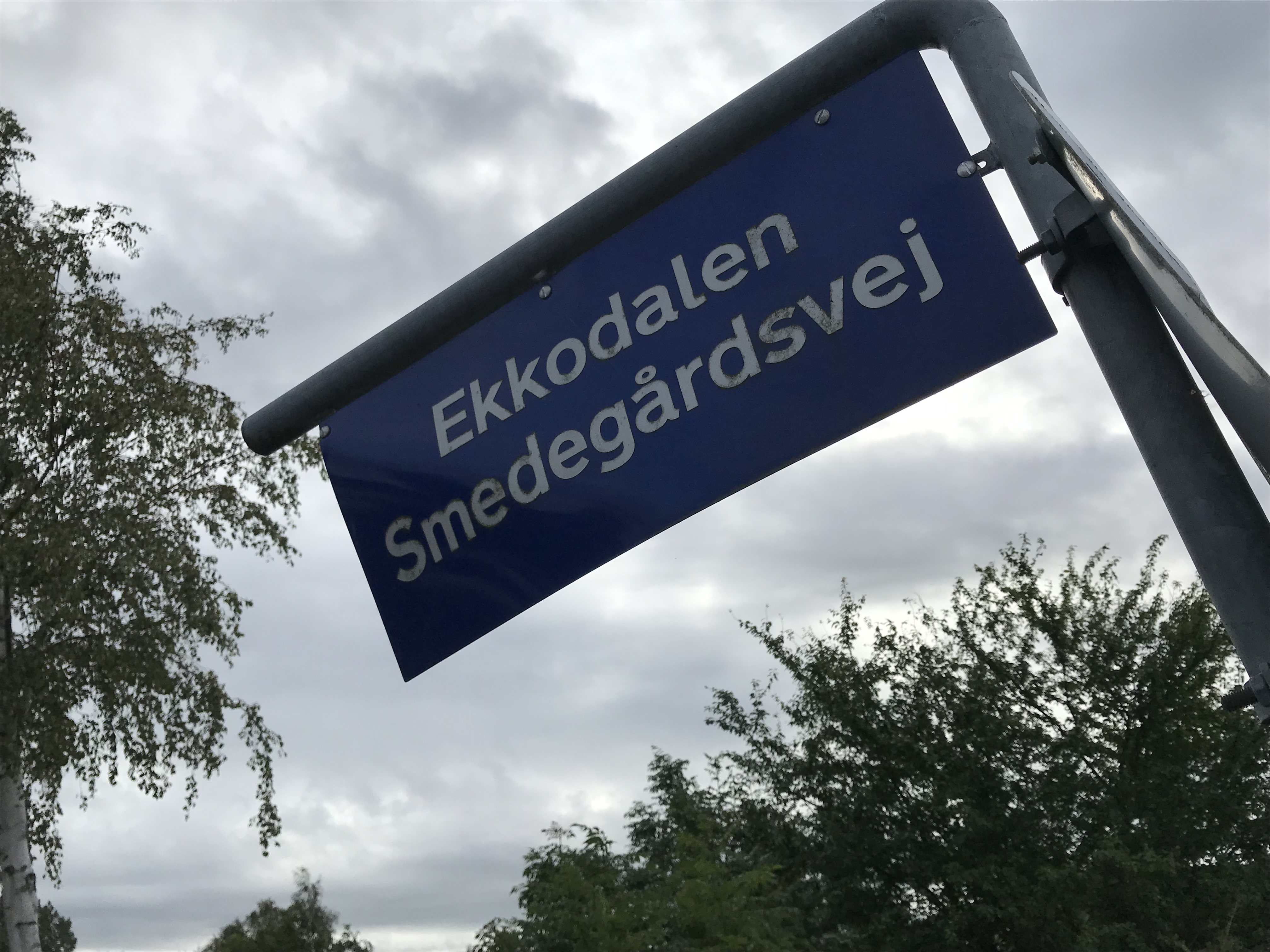 51-ÅRIG MAND FRA MIDDELFART VARETÆGTSFÆNGSLET FOR DRAB PÅ 58-ÅRIG FREDERICIANER