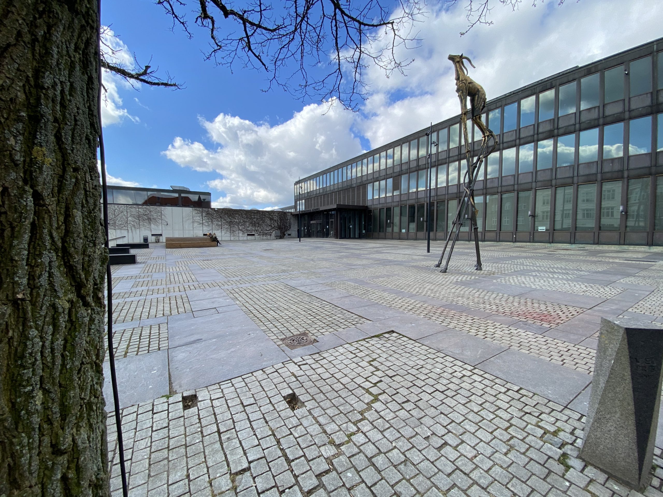 Hvem skal have årets handicappris?