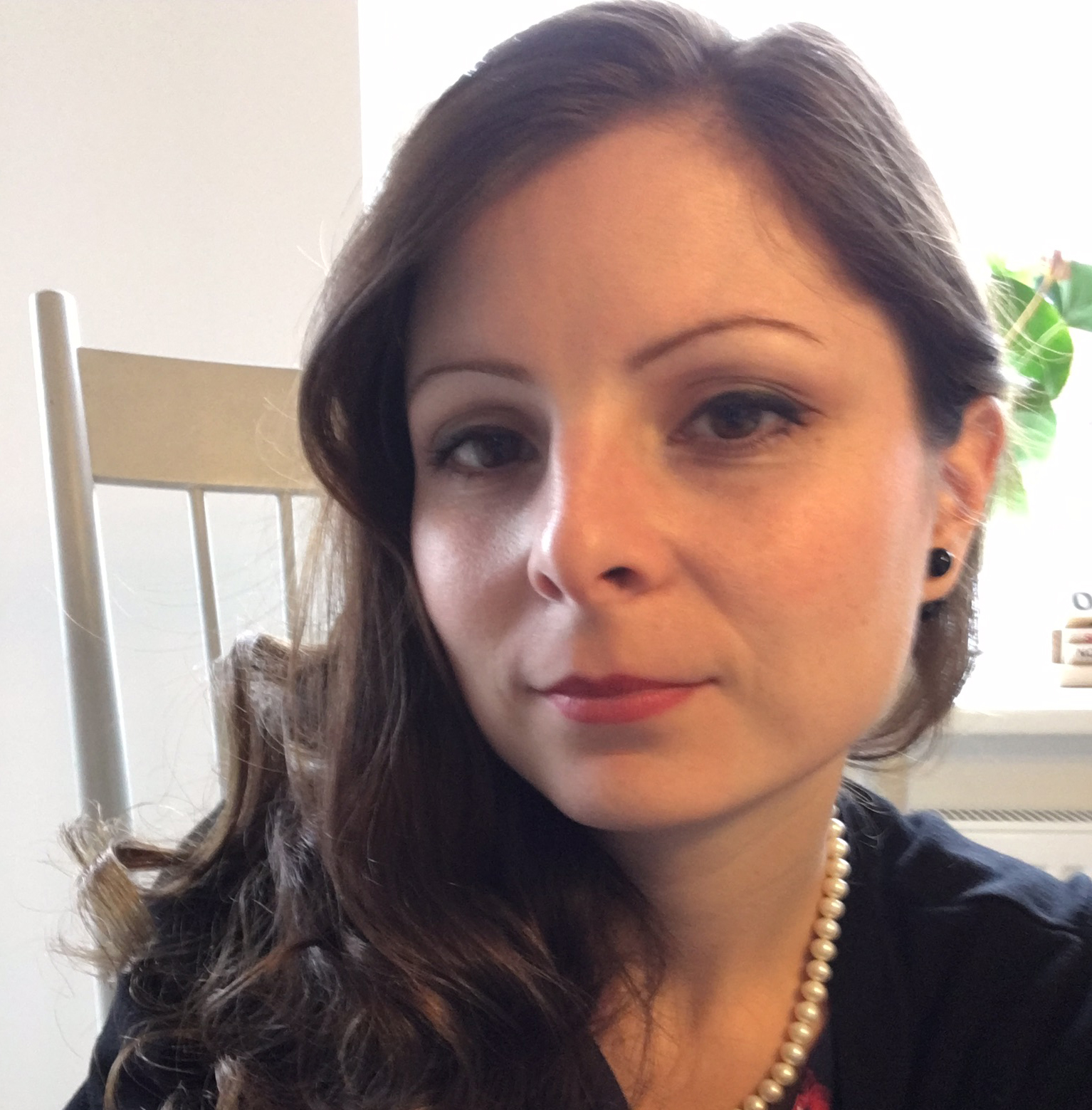 Demokratiet skal udvikles og styrkes med disse forslag