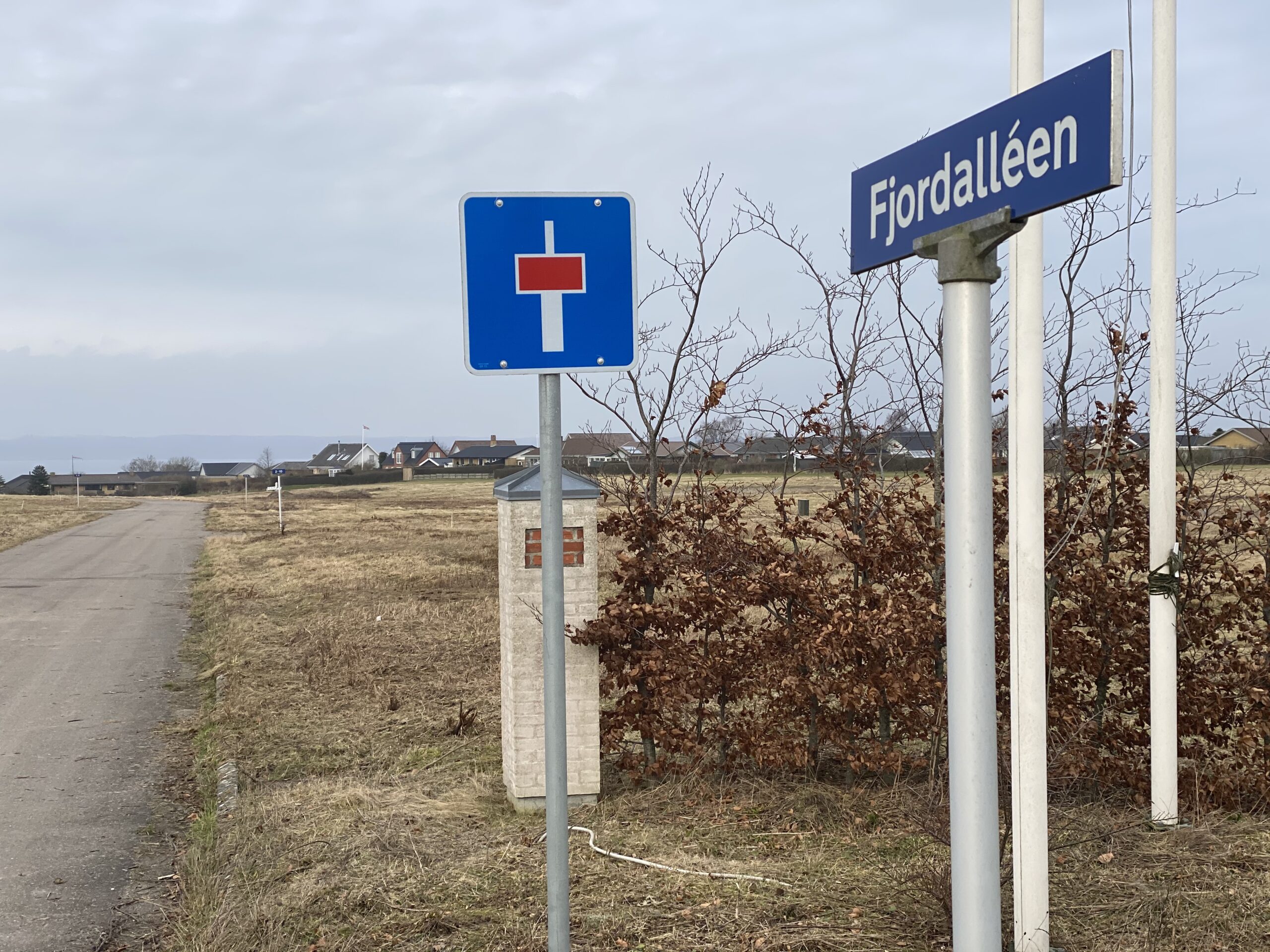 Venstrepolitiker: Fredericia mangler en vision – tilflyttere vælger Fredericia fra